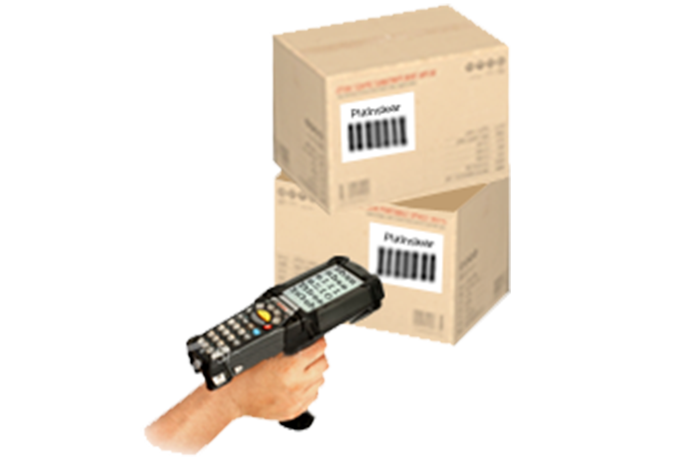 Software for exporters